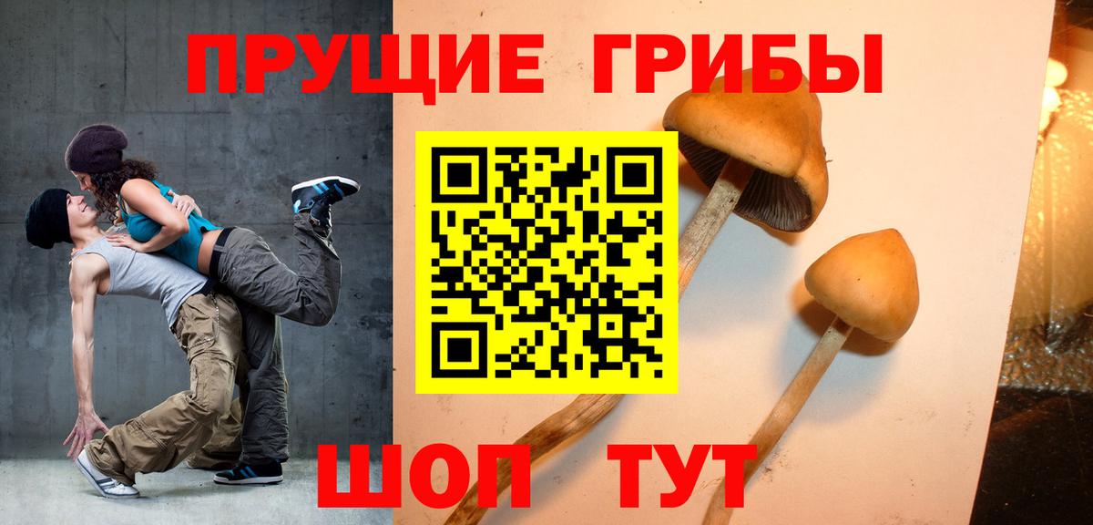 Галлюциногенные грибы мухоморы Гагарин